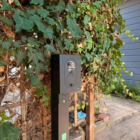 Laadpaal op een paal tussen de klimop in een tuin in Leusden