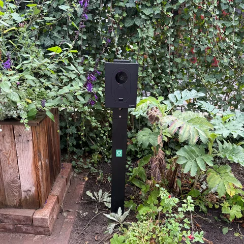 Zaptec laadpaal op een paal in een border met klimop in Woerden